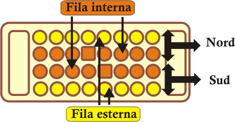 Bao definizioni