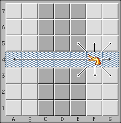 The Crocodile inside the river.