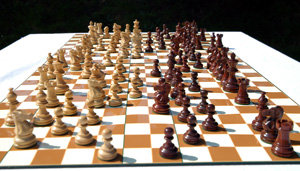 Chess variant