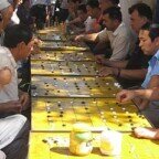 FangQi