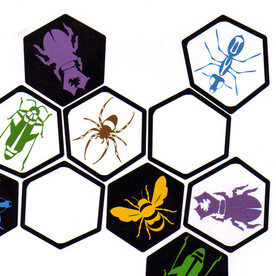 Hive